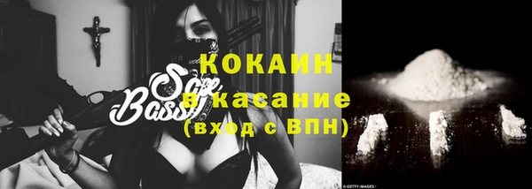 гидра Карпинск
