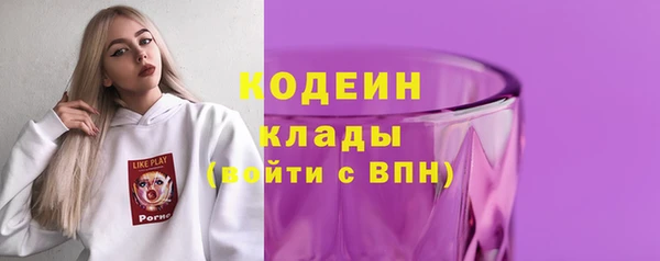 гидра Карпинск