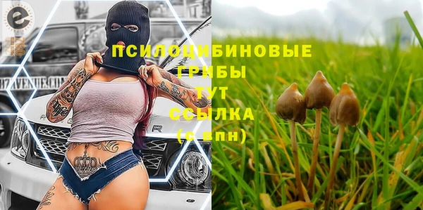 марки lsd Карталы