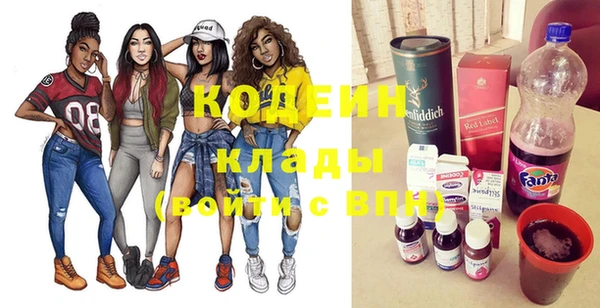 гидра Карпинск