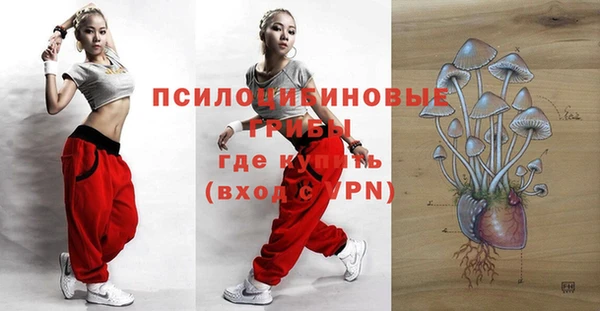 винт Каменка