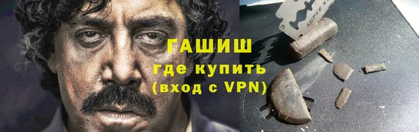 гидра Карпинск