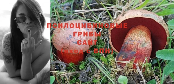 молекула духа Касимов
