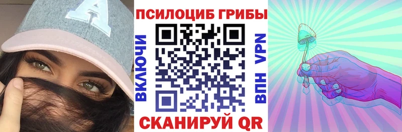 Купить где  Сланцы  Псилоцибиновые грибы MAGIC MUSHROOMS 